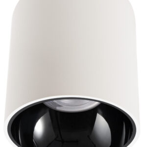 Zyloâ„¢ Surface Mount UGR19 Downlight