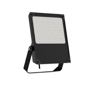 ProximusWS™ Wattage Switchable Floodlight
