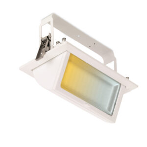 PrysimCSâ„¢ IP65 42W Colour Switchable Adjustable Aluminium LED Wallwasher